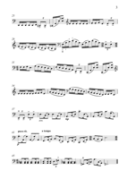 FM050 – sample page 2