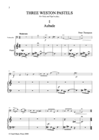 FM162 – sample page 1