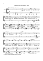 FM170 – sample page 2