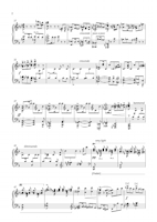 FM196 – sample page 2