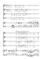 FM199 – sample page 3