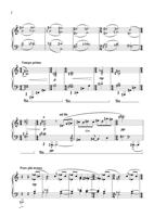 FM213 – sample page 2
