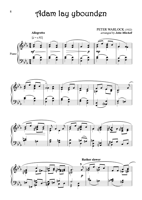 FM219 – sample page 4