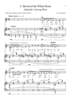 FM240 – sample page 3