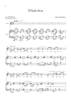 FM253 – sample page 3