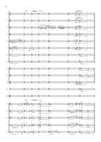 FM254 – sample page 4