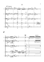 FM258 – sample page 3
