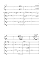 FM275 – sample page 5