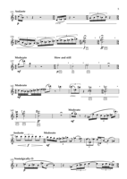FM290 – sample page 2