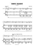 FM295 – sample page 1