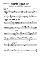FM295 – sample page 6