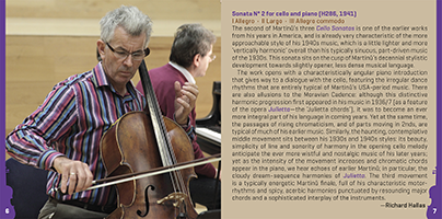 SLV1011 – sample page 4